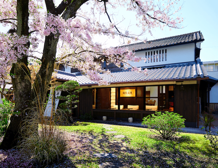 緑茶王朝：茶の道、テイスティング、そしてお茶会