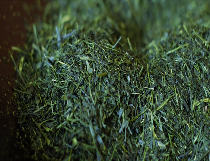 日本茶鑑定士がご案内する 日本伝統本玉露・煎茶と和菓子のマリアージュ体験